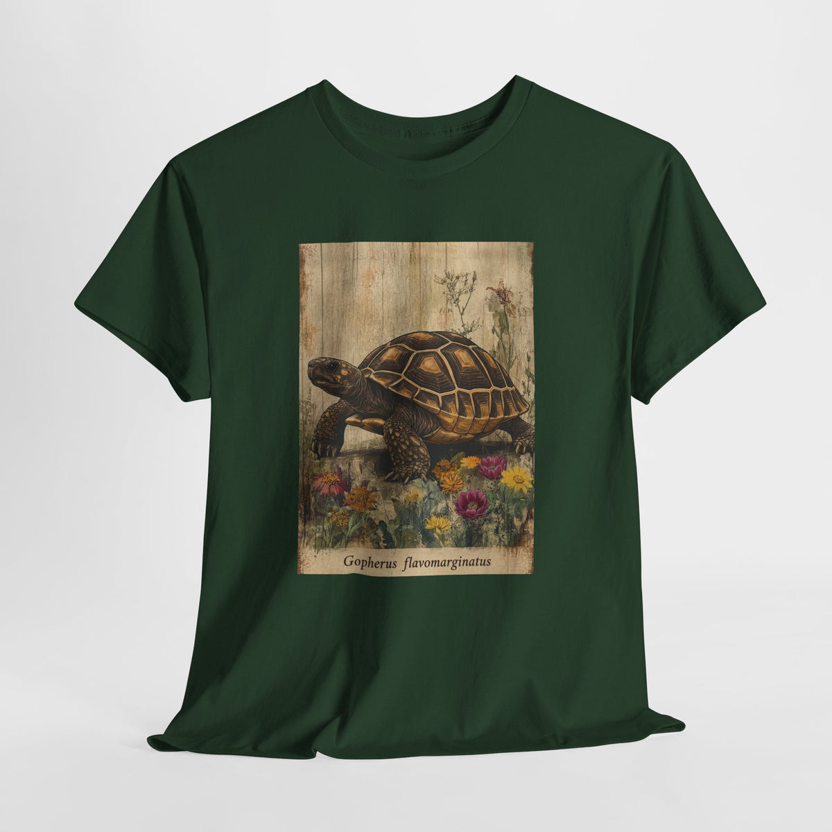 Bolson tortoise t-shirt with a vintage tortoise among wildflowers