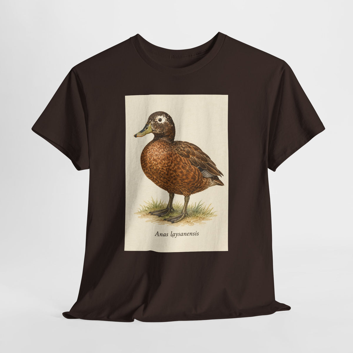 Laysan duck t-shirt with a vintage Anas laysanensis field-guide illustration