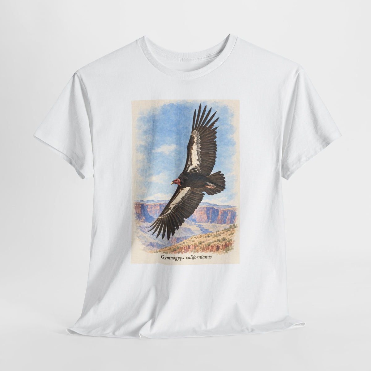 California condor t-shirt with a vintage condor soaring over a canyon