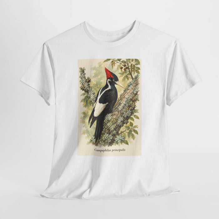 Ivory-billed woodpecker t-shirt with a vintage field-guide woodpecker print