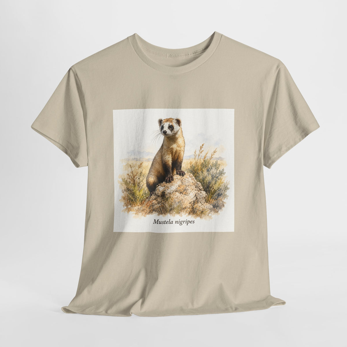 Black-footed ferret t-shirt with a ferret illustration among windswept grasses