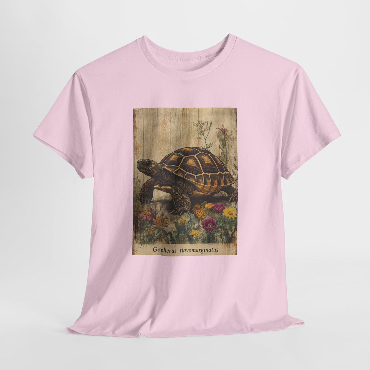 Bolson tortoise t-shirt with a vintage tortoise among wildflowers