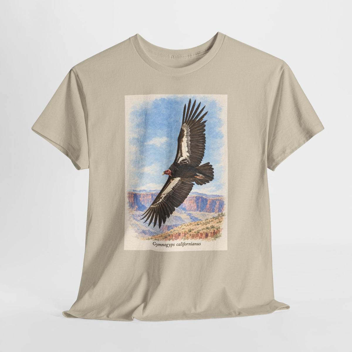 California condor t-shirt with a vintage condor soaring over a canyon