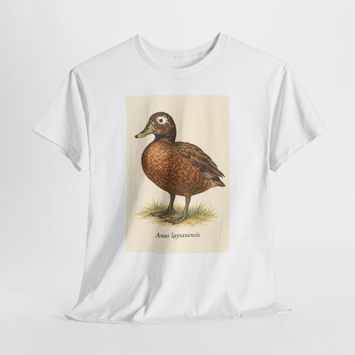 Laysan duck t-shirt with a vintage Anas laysanensis field-guide illustration