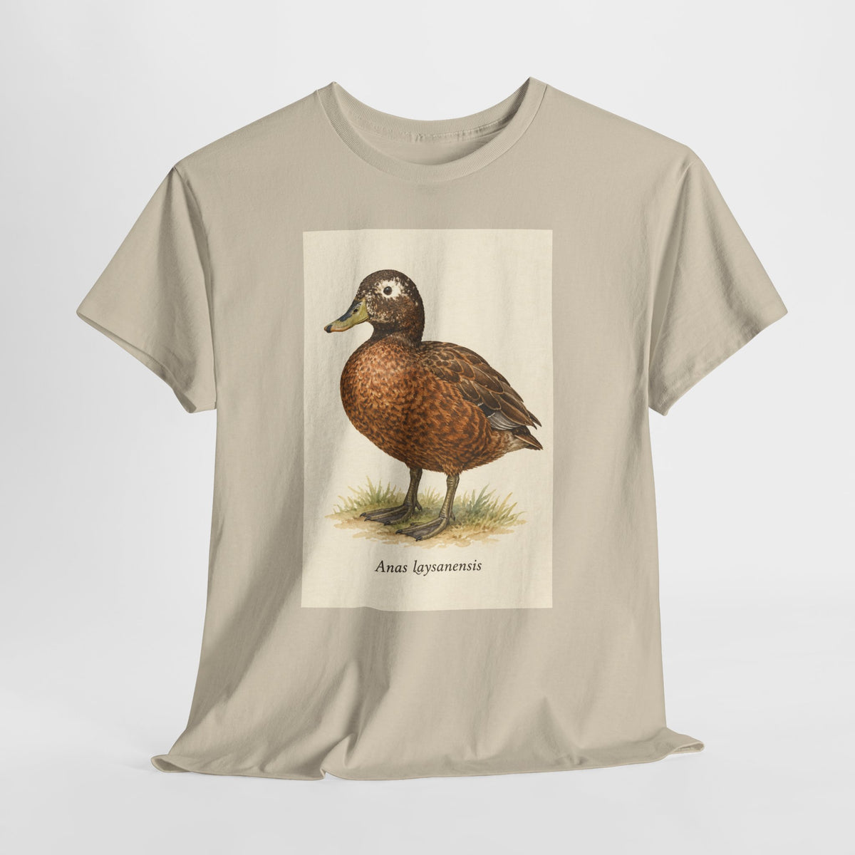 Laysan duck t-shirt with a vintage Anas laysanensis field-guide illustration