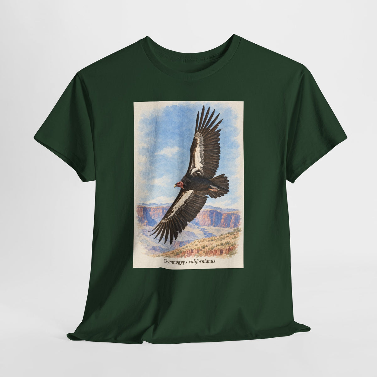 California condor t-shirt with a vintage condor soaring over a canyon