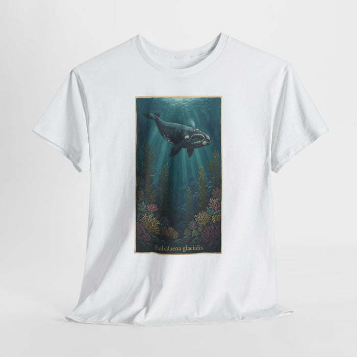 Right whale t-shirt with a vintage North Atlantic right whale (Eubalaena glacialis) over kelp and coral