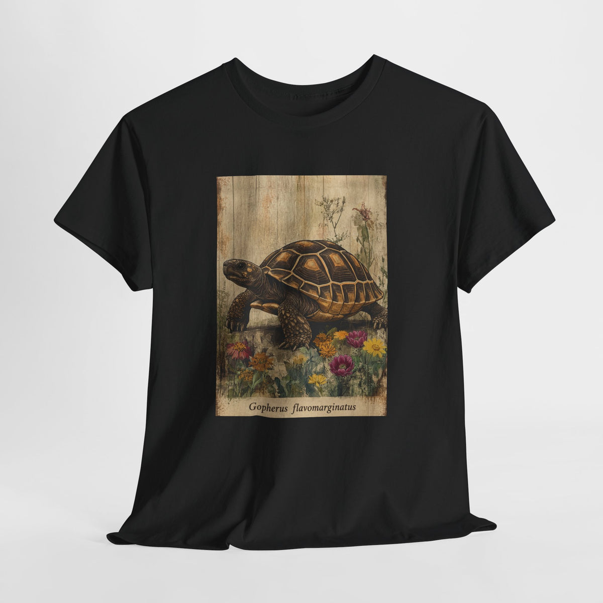 Bolson tortoise t-shirt with a vintage tortoise among wildflowers