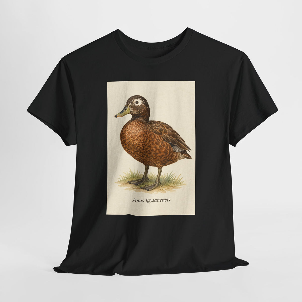 Laysan duck t-shirt with a vintage Anas laysanensis field-guide illustration