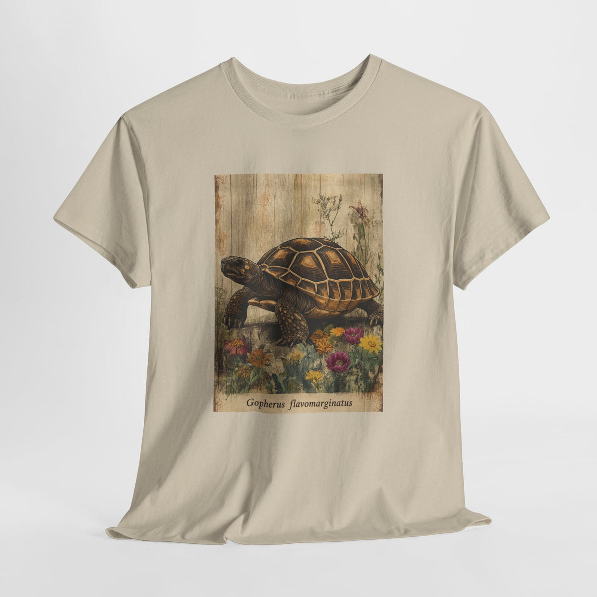 Bolson tortoise t-shirt with a vintage tortoise among wildflowers