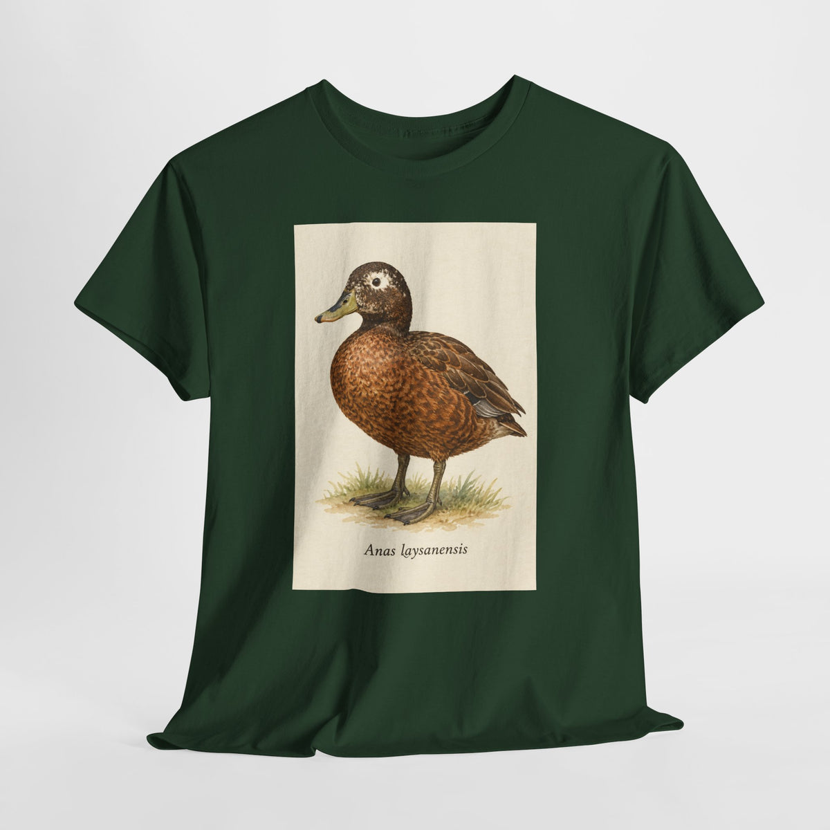 Laysan duck t-shirt with a vintage Anas laysanensis field-guide illustration