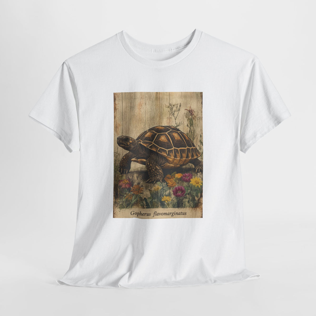 Bolson tortoise t-shirt with a vintage tortoise among wildflowers