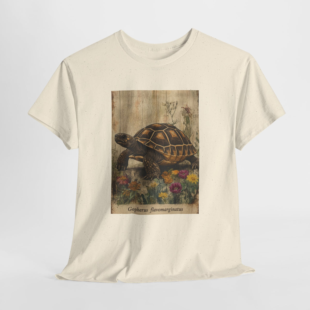 Bolson tortoise t-shirt with a vintage tortoise among wildflowers