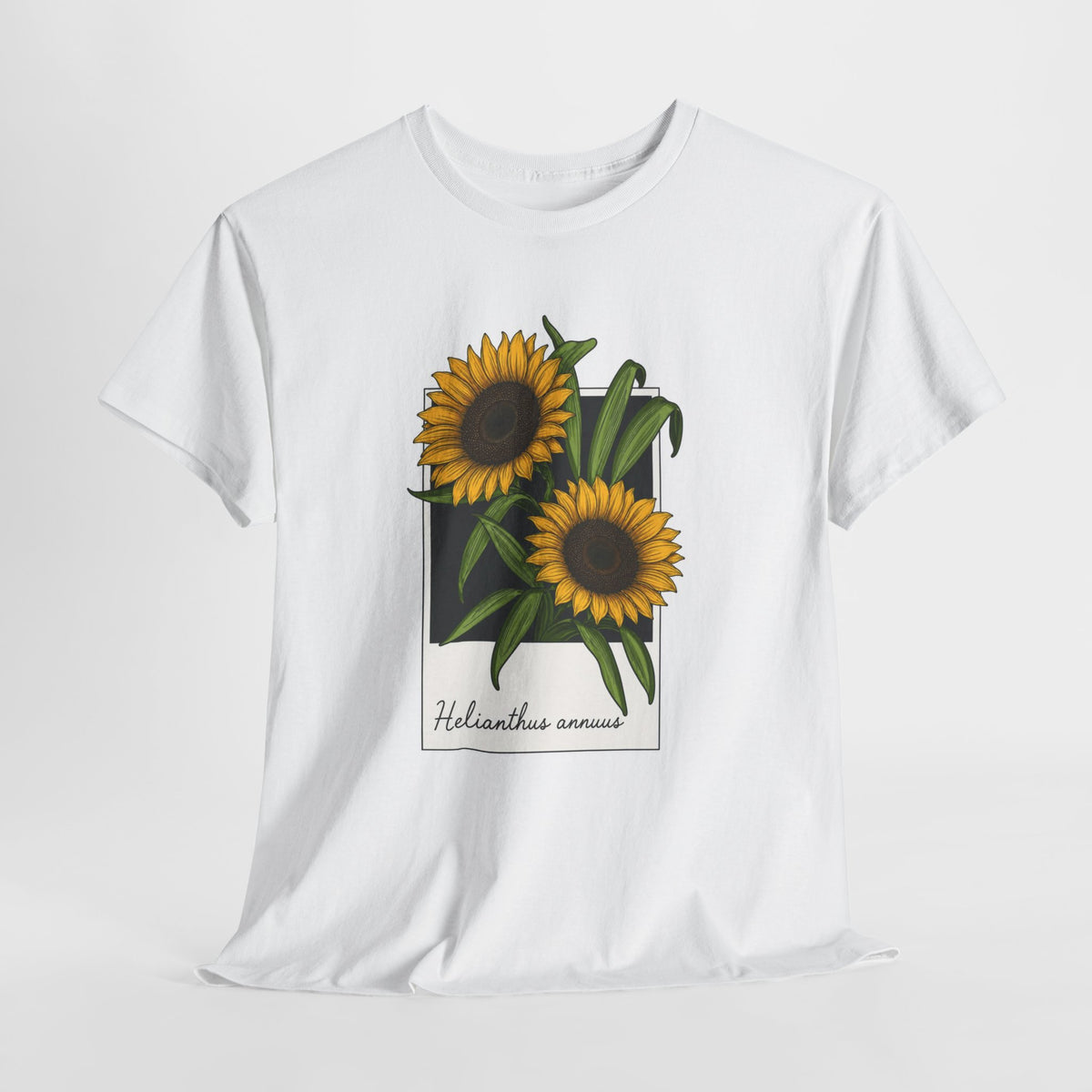 Botanical sunflower t-shirt with a framed vintage sunflower illustration