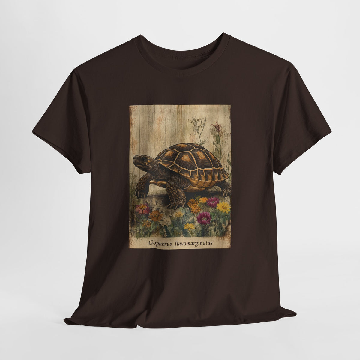 Bolson tortoise t-shirt with a vintage tortoise among wildflowers