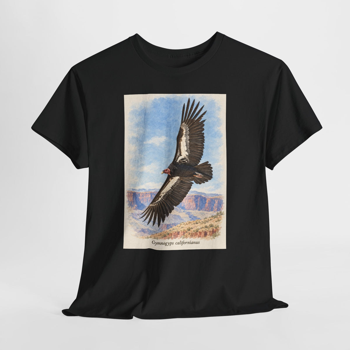 California condor t-shirt with a vintage condor soaring over a canyon